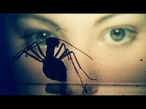 The 70s Sci-Fi Movie That Invented A Whole New Kind Of Paranoia