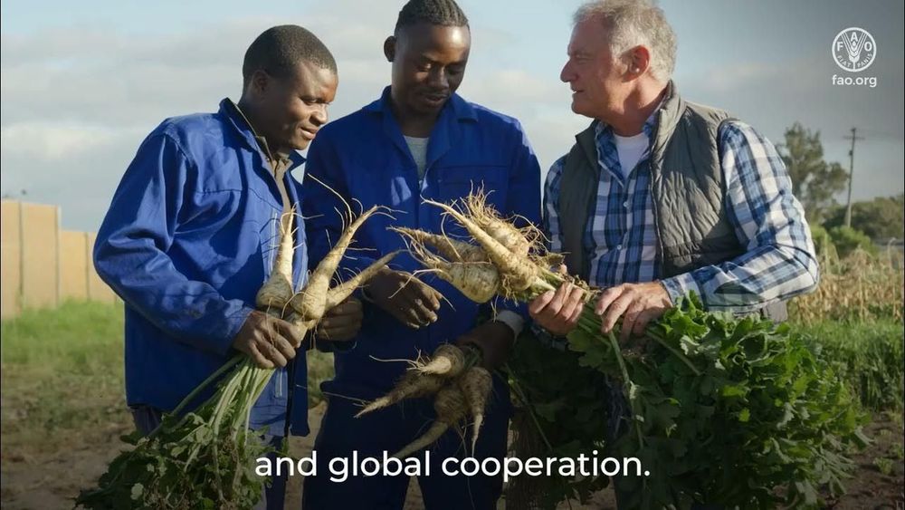 Plant health and One Health