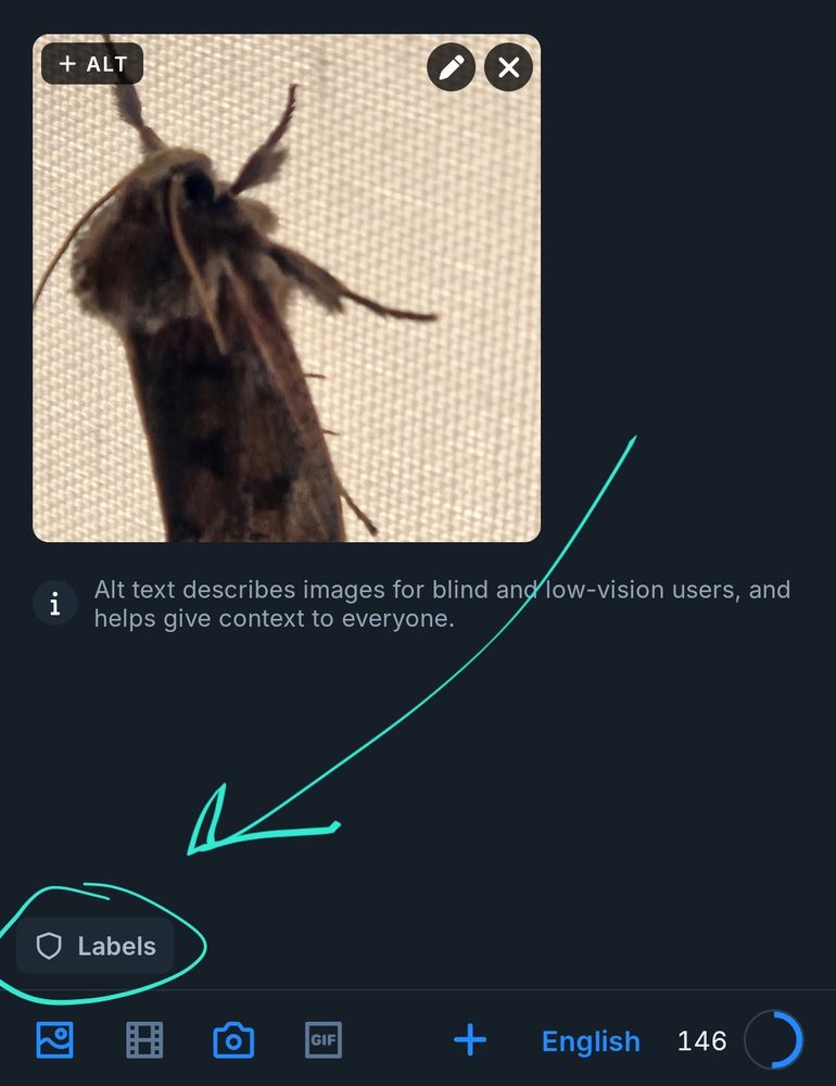 A screenshot of bluesky: an image is selected to be uploaded, showing a Labels tab