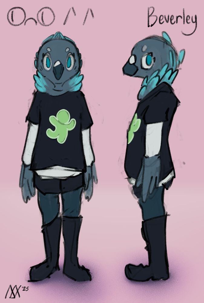 A ref sheet for a character named Beverley. She is an anthro pigeon wearing a baggy t-shirt, shorts, and knee-high leather boots. She has a white undershirt as well.