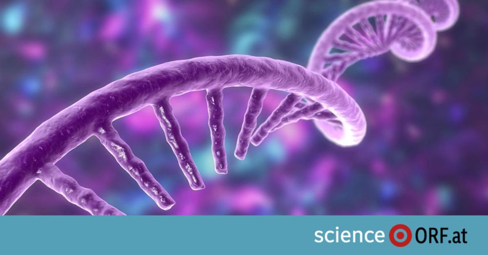 Medizinnobelpreis für Entdeckung von microRNA