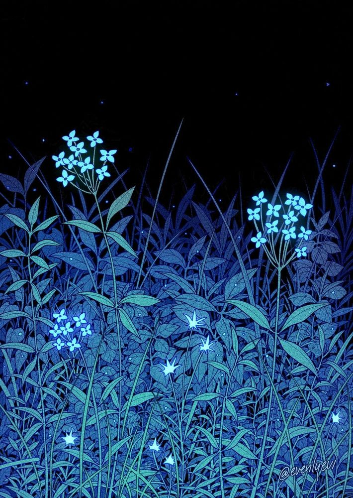 A detailed illustration of outdoor foliage at night, consisting of wild plants, grass and a few small delicate flowers. The viewer is placed at ground level where you can see the details up close. The drawing is rendered in blue monochrome tones with a soft light appearing to be illuminating the foreground of the image. The bottom right corner of the image has the artist's username signed "@evenlyevi"
