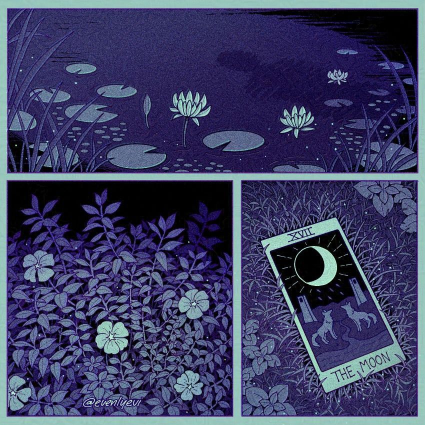 A digital illustration of a nighttime scene divided into three panels. The first panel features lily pads and a shadow reflected in the water, the second panel is of plants with white flowers, and the final panel is of "the moon" tarot card left in the grass. The image uses a purple monochrome pallete with a pale green tint.
