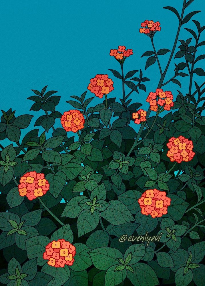 A digital illustration of lantanas against a cloudless blue sky. The flowers are small, spherical clusters that are seen throughout the image. The colors are saturated with deep green leaves and vibrant orange flowers. Near the bottom right of the image has the artist's username signed "@evenlyevi"