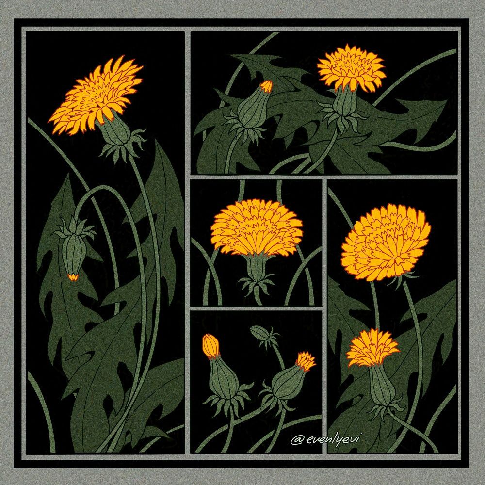A vintage-inspired illustration of dandelions divided into 5 panels. The colors uses muted greens against a solid black background, and then a warm highlight of yellow for the flowers. Near the bottom of the image has the artist's username signed @evenlyevi 