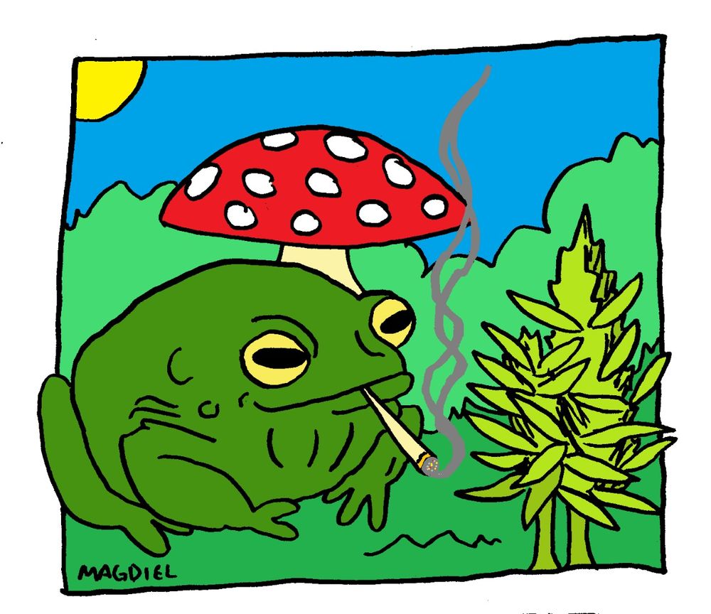 Desenho de um sapo fumando maconha em um cenário colorido de mato, com um pé de maconha, um cogumelo maior q o sapo atrás dele e um sol no canto