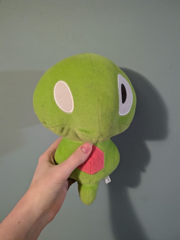 Me holding up a larger zygarde core plushie, about one foot tall.