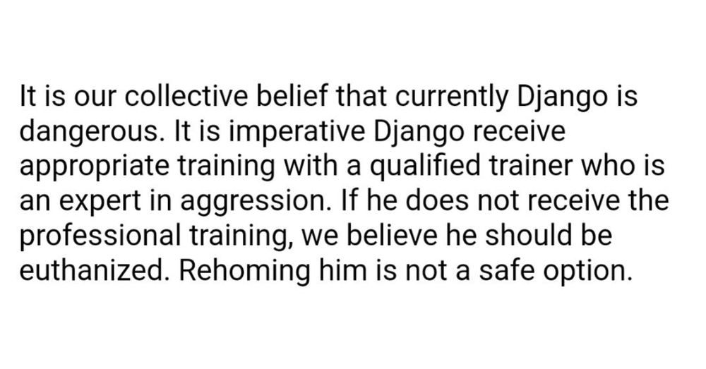 A message from Django's trainer when we first got him that he needs special aggression training or to be put down 