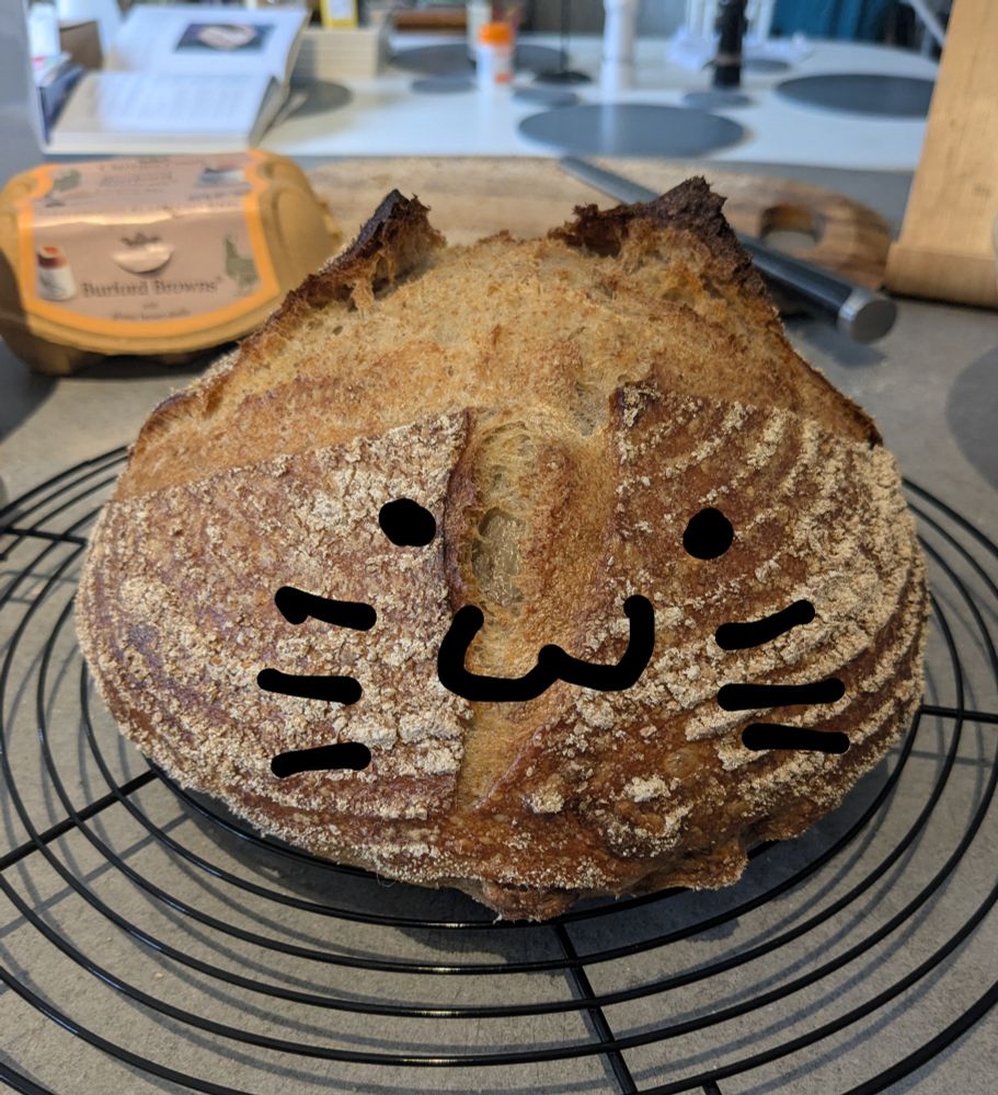 A round, crusty loaf of bread cooling on a wire rack. The crust is split in a cross shape across the top, and the sticky-up corners look like cat ears. I've drawn a crude cat face onto the photo.