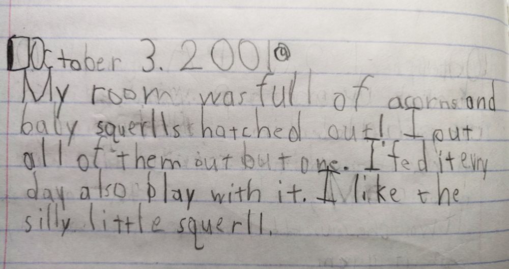 October 3, 2001: My room was full of acorns and baby squerlls hatched out! I put all of them out but one. I fed it evry day also play with it. I like the silly little squerll.