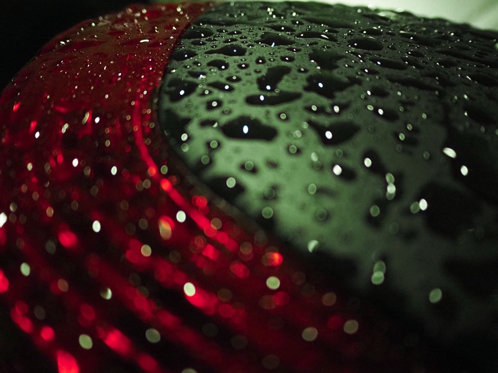 raindrops on the car hood at night