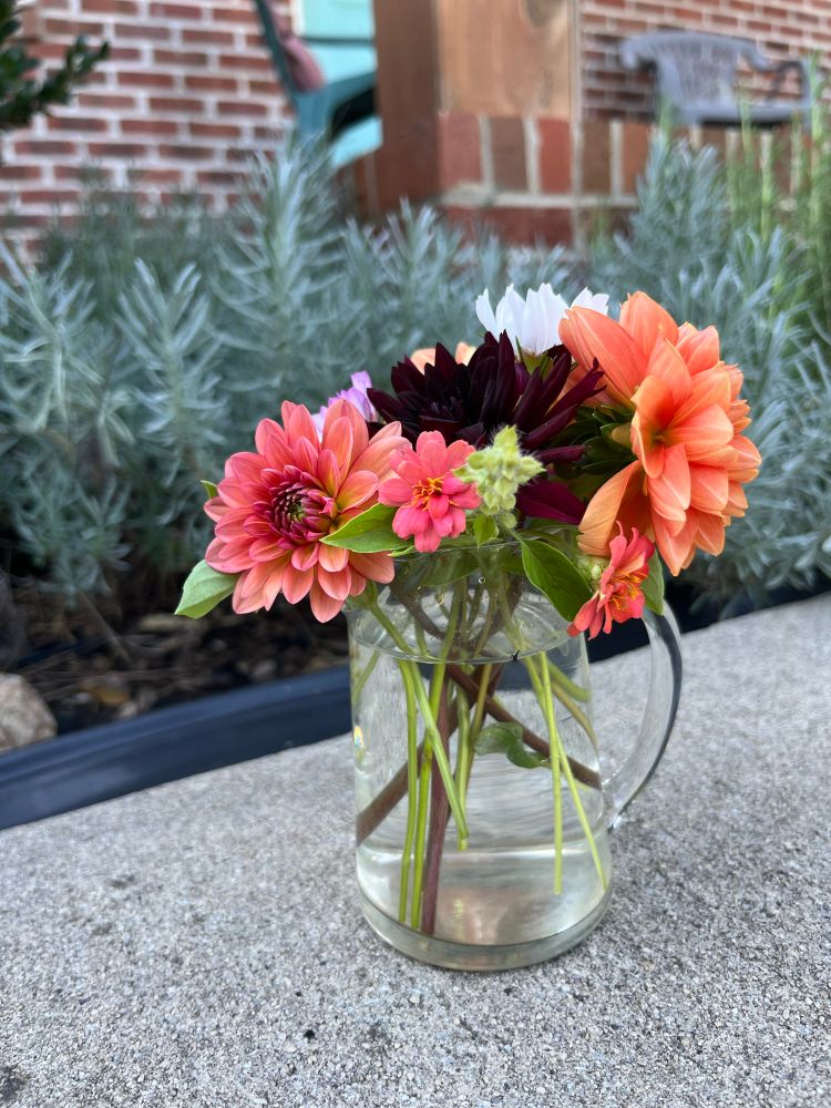 A coral and peach bouquet in a small glass pitcher