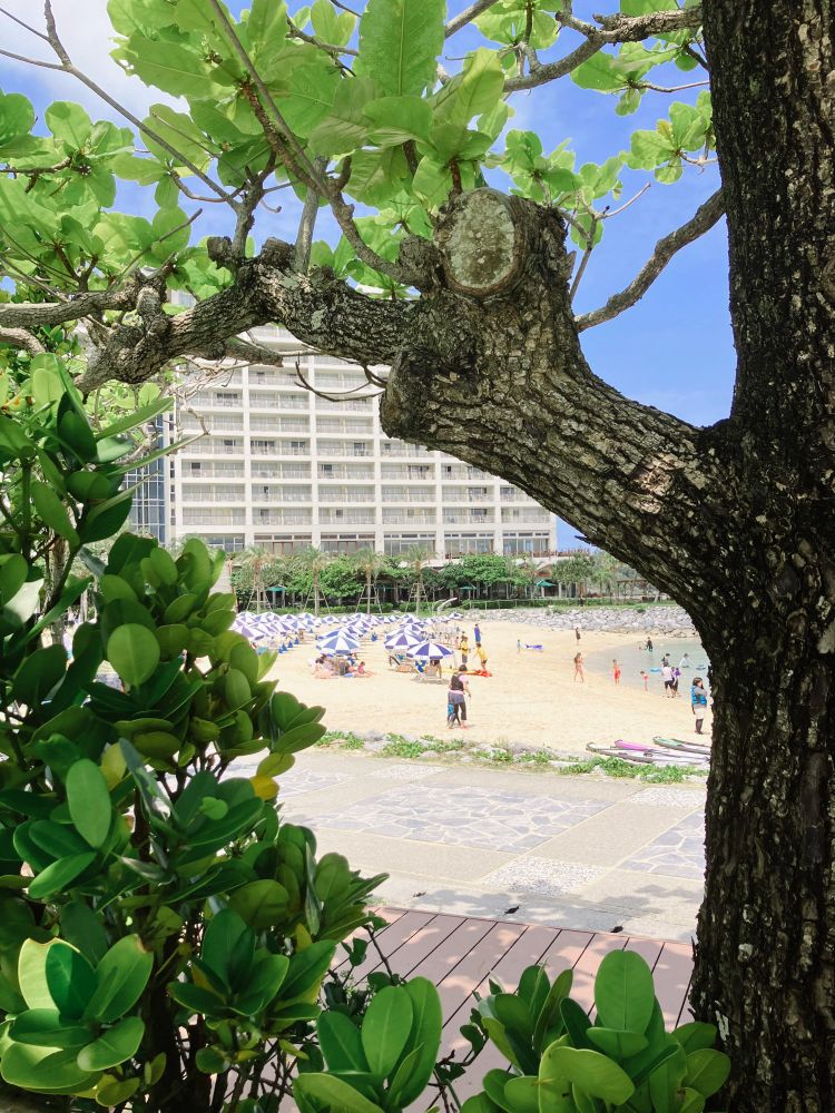 沖縄のルネッサンスリゾートオキナワさん。
木々の間から、プライベートビーチとホテルの建物が見える。