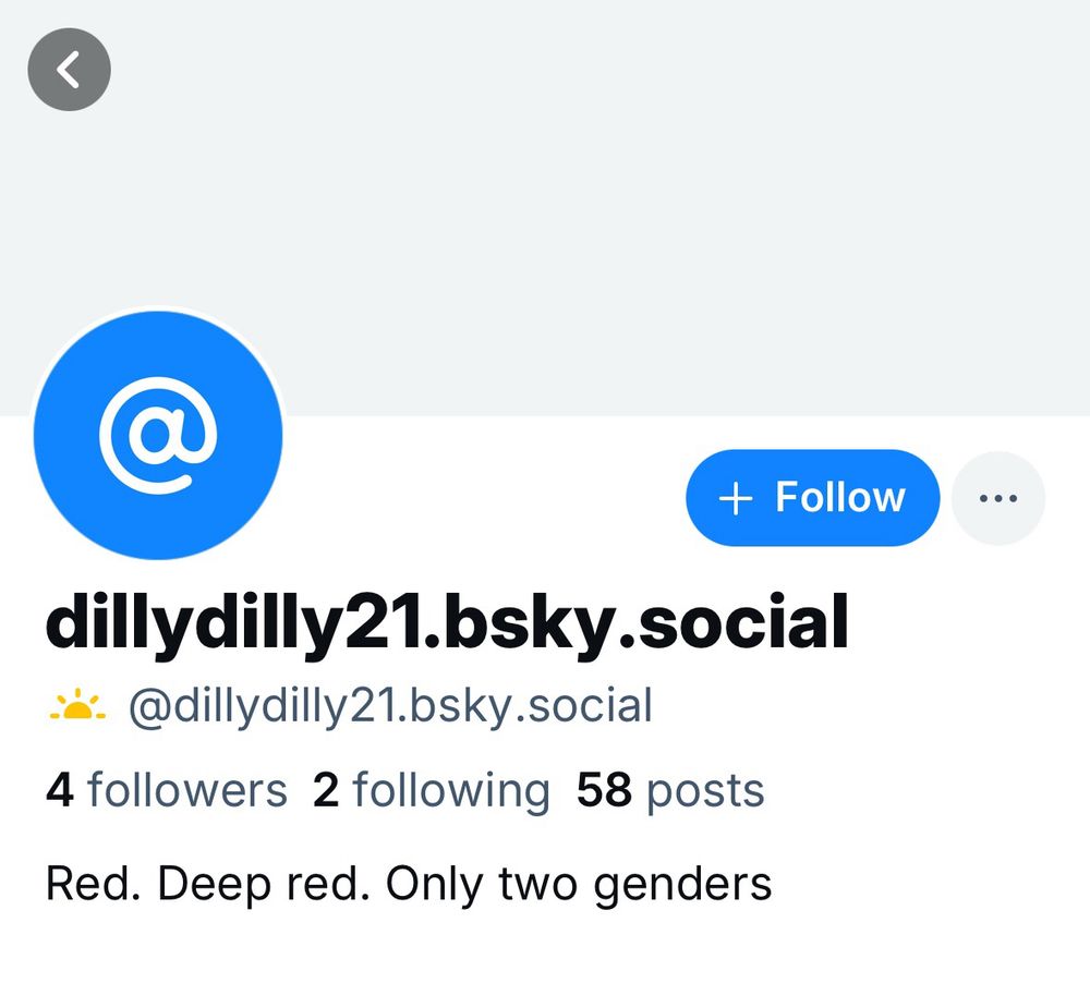Screenshot of troll account @dillydilly21.bsky.social 