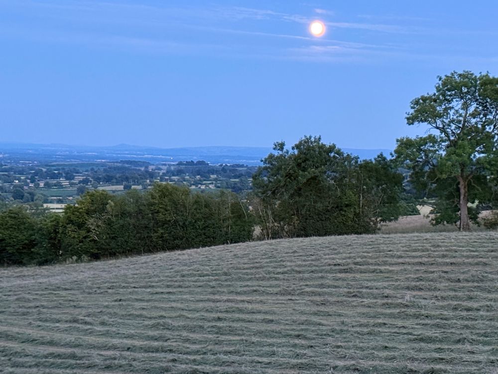 The same mown field by moonlight 