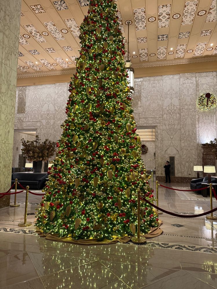 A giant Christmas tree in the fancy lobby  of a fancy office building 
