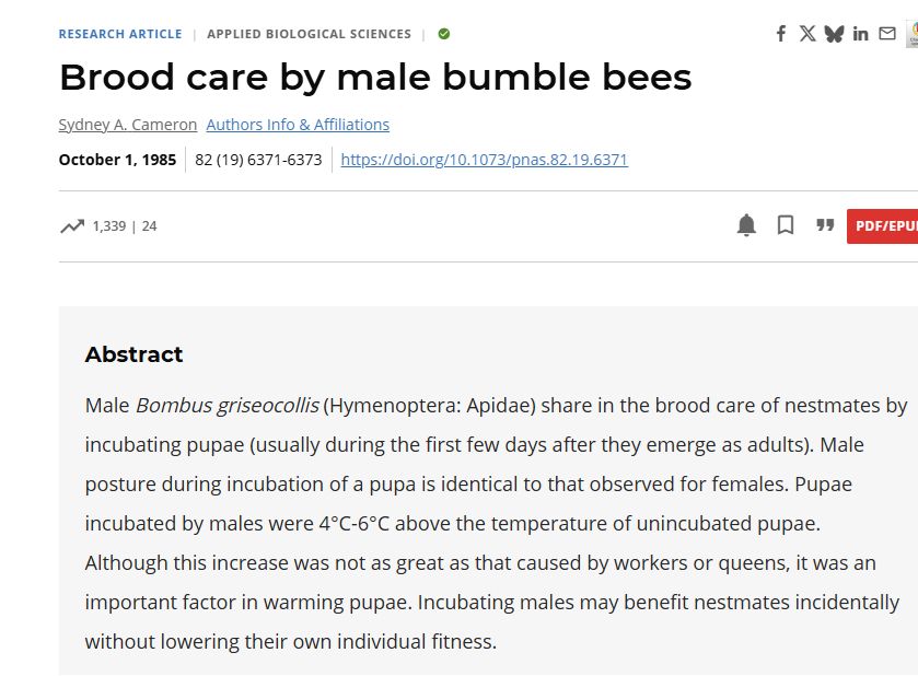 And abstract from a scientific paper entitled 'Brood care by male bumble bees'. Paper was published in PNAS in 1985.