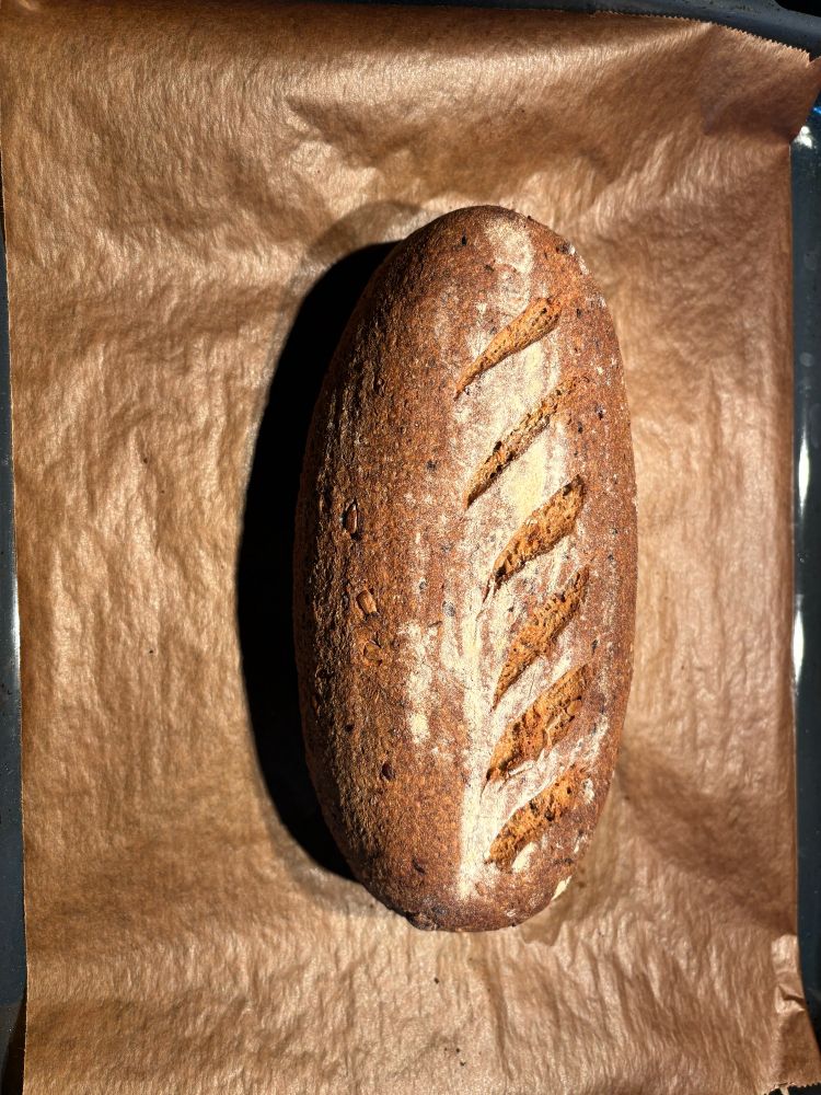 gebackenes dinkel-vollkorn brot laib auf backpapier.