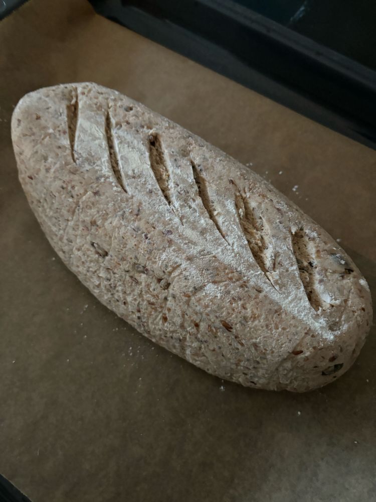ungebackenes vollkorn dinkel brot laib auf backpapier.