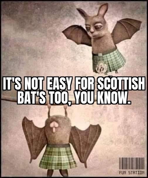 Schottische Fledermaus hängt kopfüber von einem Ast und trägt nichts darunter. Der Kilt verdeckt ihren Kopf.