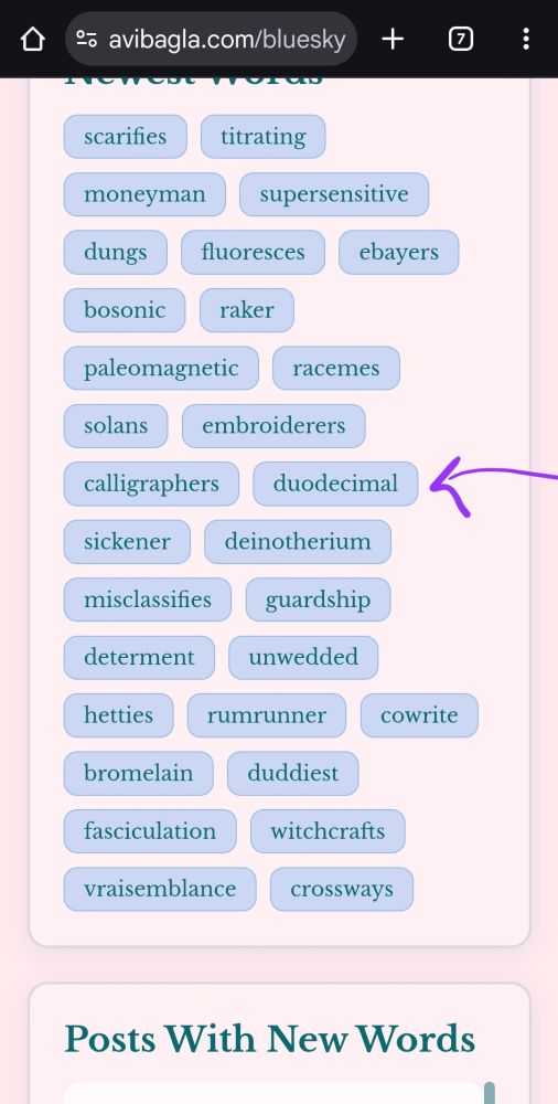 A screenshot featuring my word "duodecimal" on the new words list for the Bluesky Dictionary web page.
