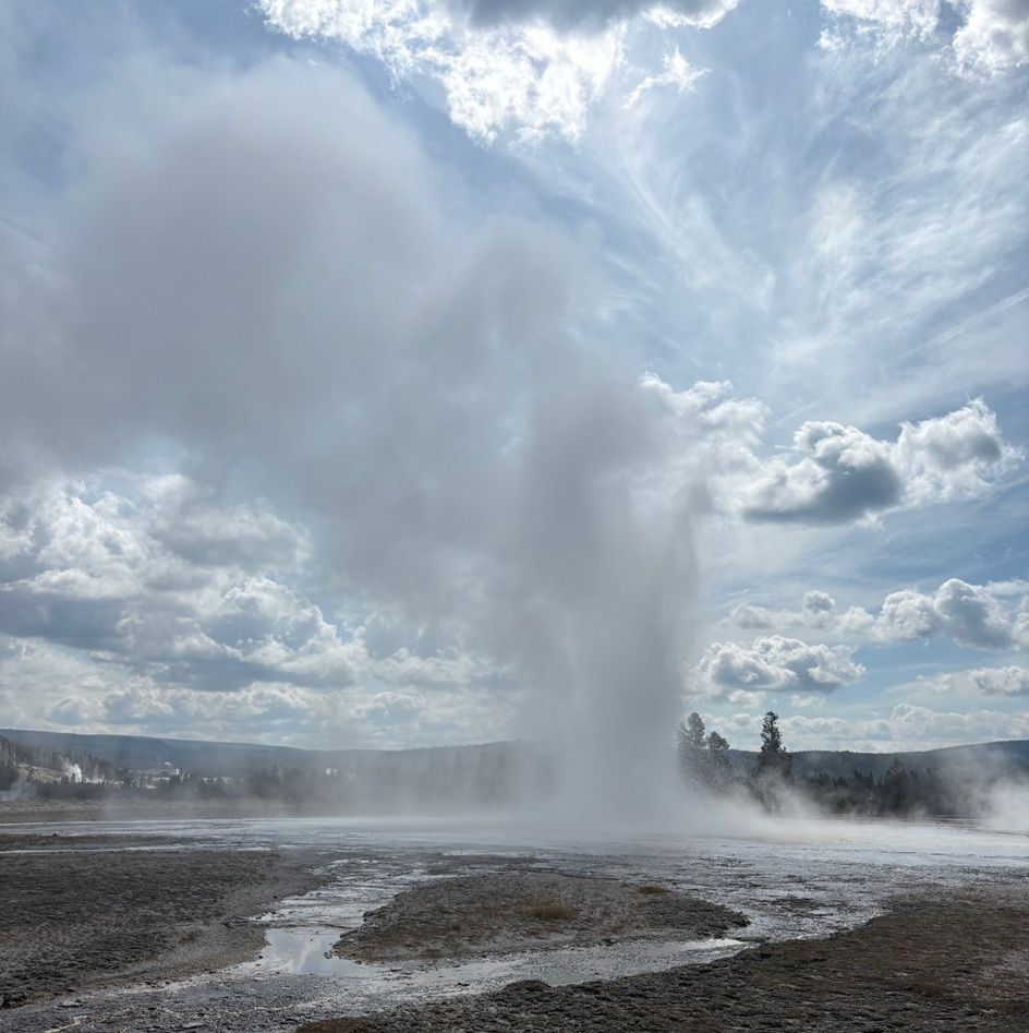 A large spout of steam and water is erupting from the earth. Daisy Geyser erupts about every 55-70 minutes and reaches a height of 75 feet for 3-5 minutes. Water from the eruption is running to the lower right of the image.