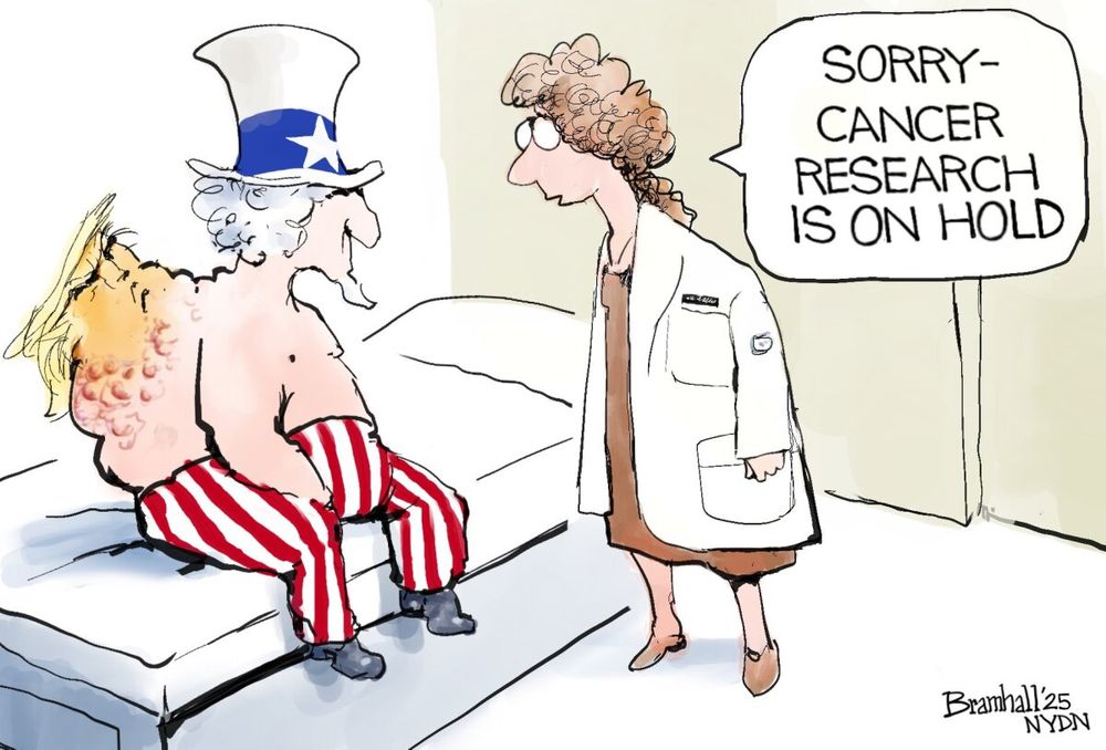 This political cartoon depicts Uncle Sam sitting on a medical examination table, wearing his traditional red and white striped pants and a blue hat with a white star. His back is grotesquely deformed, covered in a large, inflamed, cancerous-looking growth. Within this growth, the face of Donald Trump is visible, suggesting that he is being portrayed as a cancer afflicting the United States.

A female doctor, dressed in a white coat, stands in front of Uncle Sam and says, “SORRY—CANCER RESEARCH IS ON HOLD.”

The cartoon, signed by Bramhall and published by the New York Daily News in 2025, is a political critique, likely commenting on Trump’s influence on the country, comparing it to a disease that is not being treated or addressed.