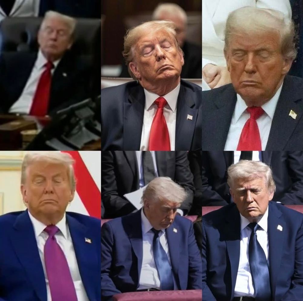 A collage of six photographs depicting Donald Trump, the current President of the United States, appearing asleep or drowsy in various formal settings. The images are arranged in a 3x2 grid with a neutral background. Top row: First image shows Trump slumping asleep in a dark suit with a red tie, head tilted back against a wooden chair in what appears to be a congressional chamber; second image captures him dozing with eyes closed and mouth slightly open, wearing a dark suit and red tie, seated formally; third image has him nodding off with a furrowed brow, in a dark suit and red tie, against a blurred indoor backdrop. Bottom row: Fourth image features Trump asleep with a neutral expression, dressed in a dark suit and purple tie, seated outdoors near a red flag; fifth shows him drowsy in profile, in a dark suit and blue tie, leaning forward in a chair; sixth image depicts him with eyes closed in repose, wearing a dark suit and blue tie, seated in a formal venue. All photos emphasize his signature blonde hair, tanned complexion, and American flag lapel pins, with a consistent theme of fatigue during official duties.