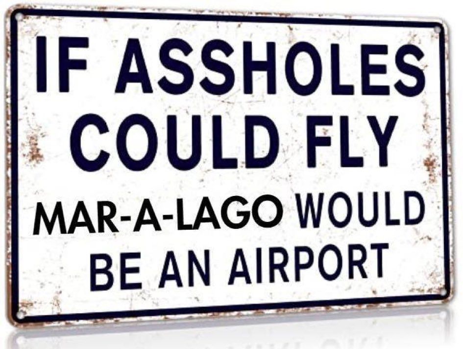 A vintage-style rectangular metal sign with a distressed, rusted white background and dark navy blue borders, featuring bold black capital letters spelling the humorous phrase: "IF ASSHOLES COULD FLY MAR-A-LAGO WOULD BE AN AIRPORT." The text is centered in three lines, with a slight worn patina effect around the edges, evoking a retro roadside sign. The composition is simple and horizontal, designed for wall hanging, with a subtle shadow suggesting it's mounted or displayed.
