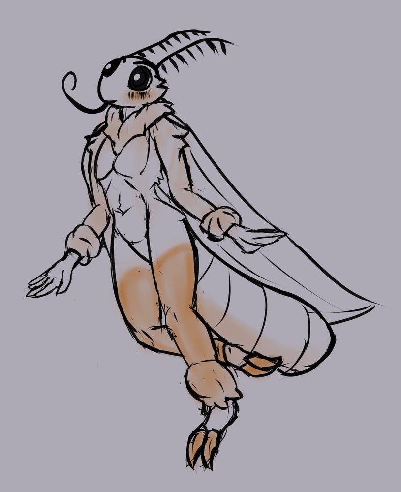 Lightly colored sketch of an anthro moth boy 