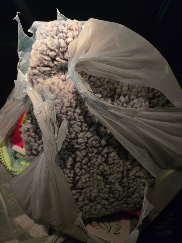 Walmart bag with a fleece jacket poking out