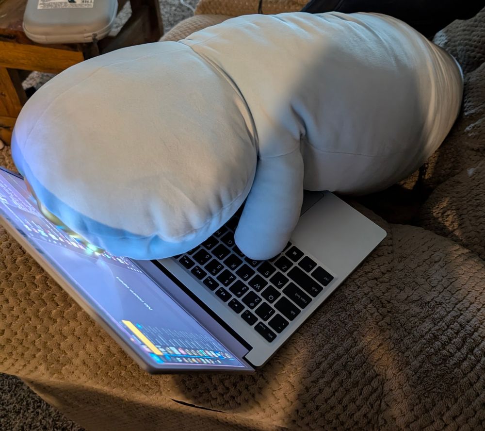 penguin plushie on the couch face down on my laptops keyboard