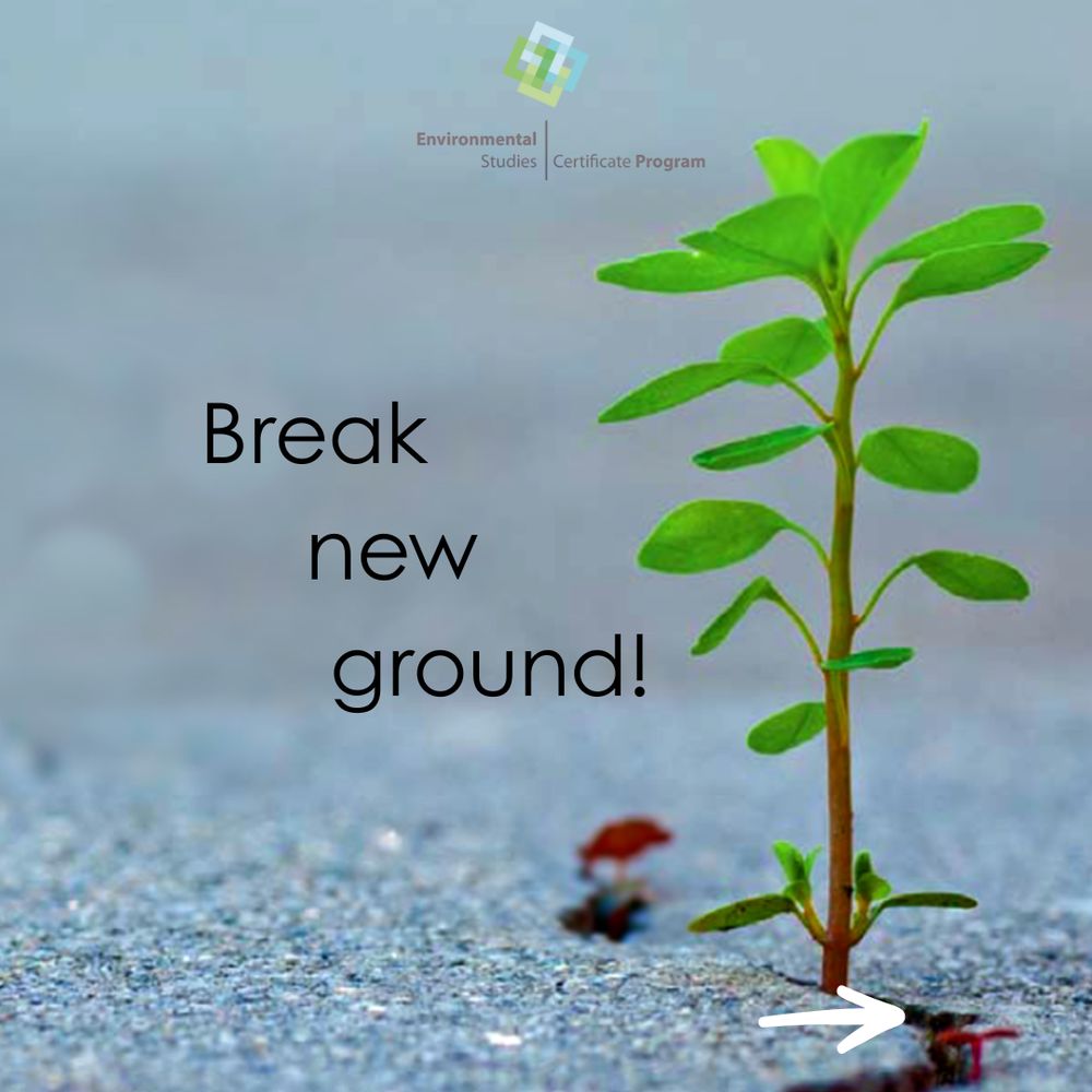 "Break new ground!" is written across a photograph of a young plant breaking through asphalt. 