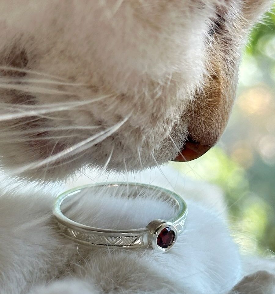 Cat sniffing ring