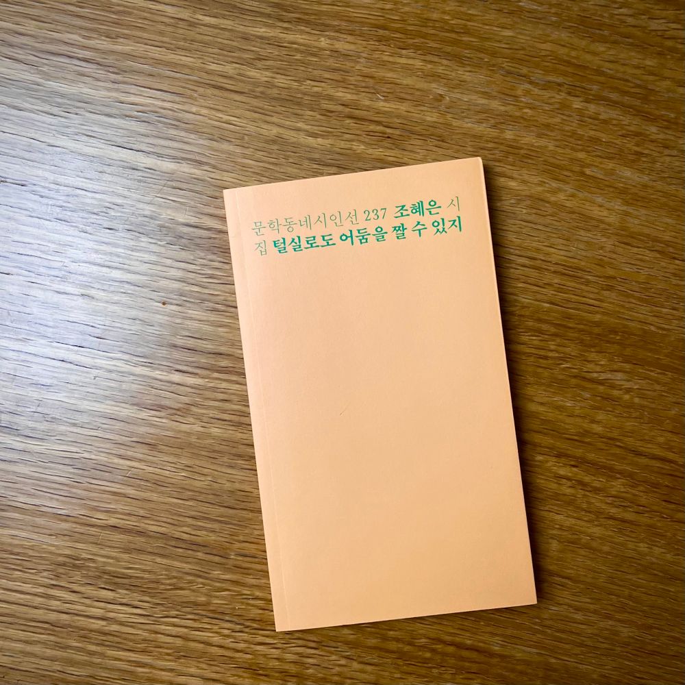 조혜은의 시집 <털실로도 어둠을 짤 수 있지>