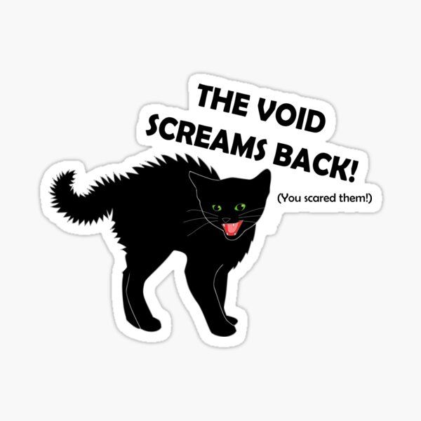 Image of a comic style black cat with it's hair on end and it's face in a hissing expressions. Above the cat are the words "The Void Screams Back! (You scared them!)