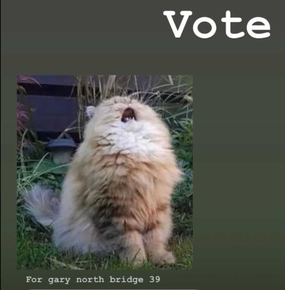 Mow