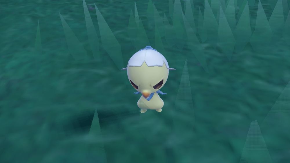 Shiny capsakid just staring blankly ahead