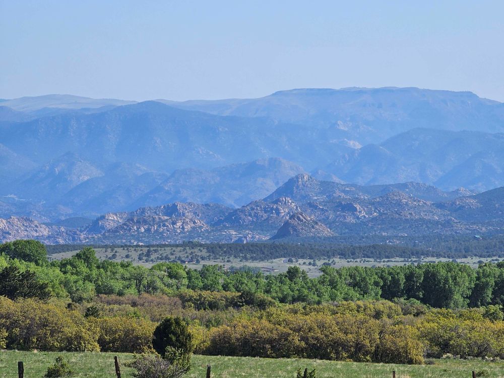 A field full of grass, bushes, and trees all of which are varying shades of green. In the background are multiple rows of mountains that are varying shades of blue while the frontmost layer of mountains is gray.