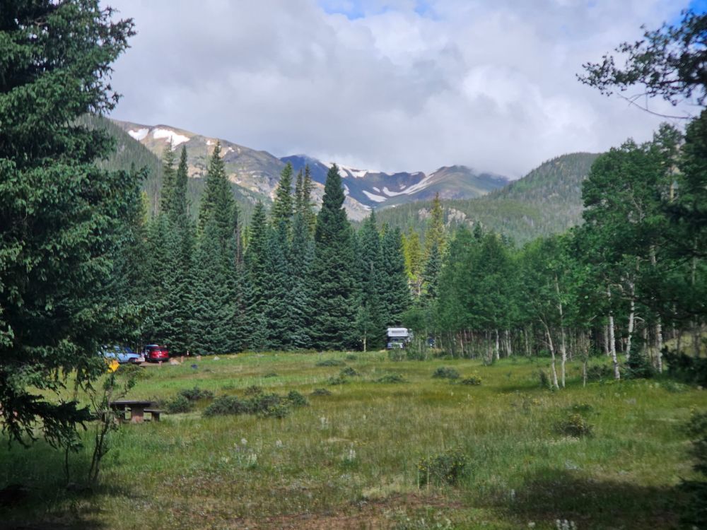 A clearing that is green and surrounded by pine trees on all sides except the front. Behind the pine trees are views of the Rocky Mountains.