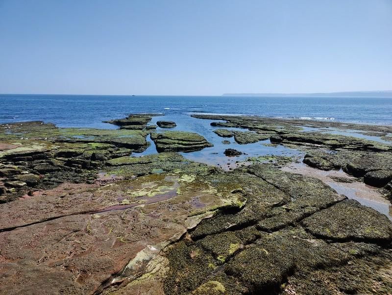 Exposed rocks at the northern end of Preston (Paignton) Sea front. Green seaweed, grey-brown rocks, blue sky and sea.