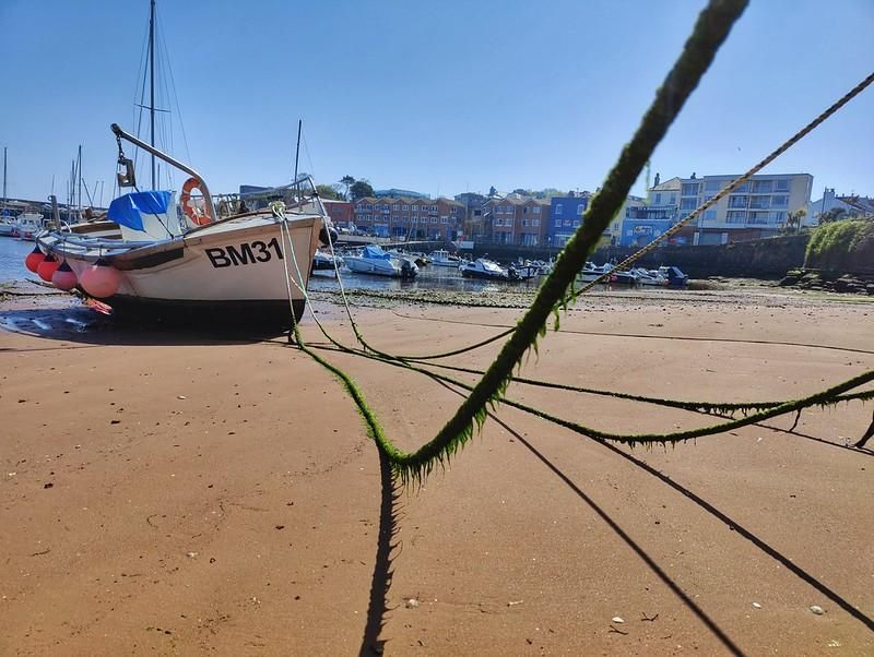 A seaweed draped rope stretched over a sandy edge of Paignton Harbour, tethering a small fishing vessel.
Blue sky and sunshine.