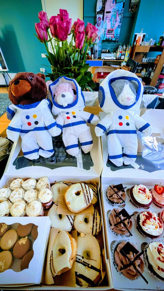 Lots of different individual cakes, three astronaut bears, and red and pink roses