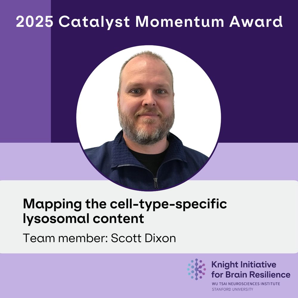 2025 Catalyst Momentum Award. Mapping the cell-type-specific lysosomal content. Team member: Scott Dixon. Knight Initiative for Brain Resilience, Wu Tsai Neurosciences Institute, Stanford University.