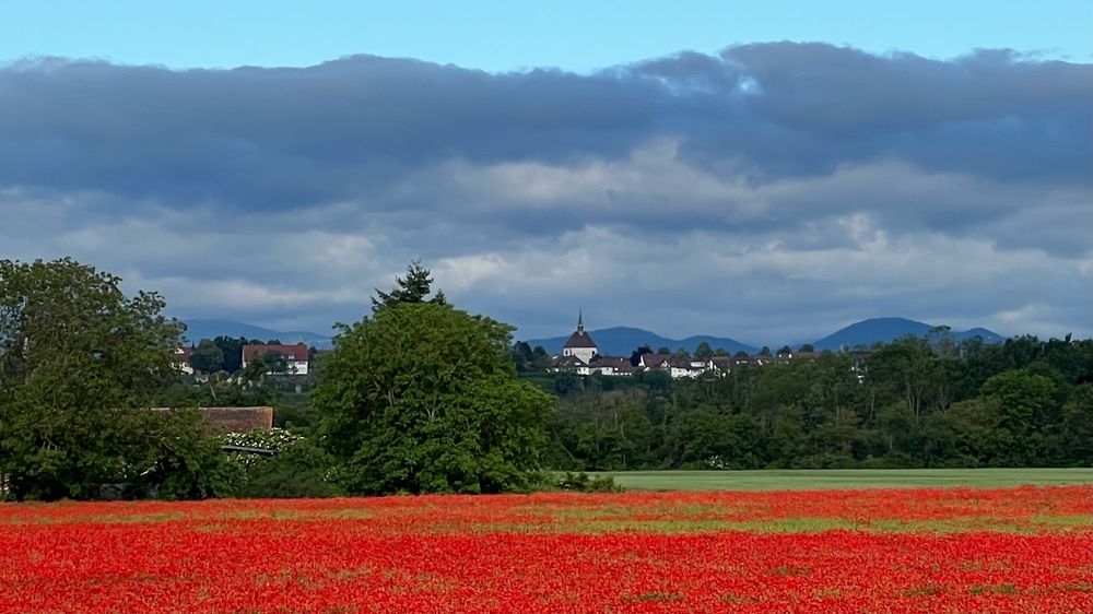 
Landschaftsbild. Unten ein Mohnfeld im intensiven Rot, dahinter ein Baum und Buschreihe. Darüber Häuser und Dächer einer Stadt auf einer Anhöhe, die sich vor einer blauen Bergkette abhebt. Der Himmel beginnt mit einer Regenwolkenfront. Ganz oben sieht der Betrachtenden einen Streifen blauen Himmel

Landscape. Below, a field of poppies in intense red, behind them a tree and a row of bushes. Above, the houses and roofs of a town on a hill that stands out against a blue mountain range. The sky begins with a front of rain clouds. At the very top, the observer sees a strip of blue sky
