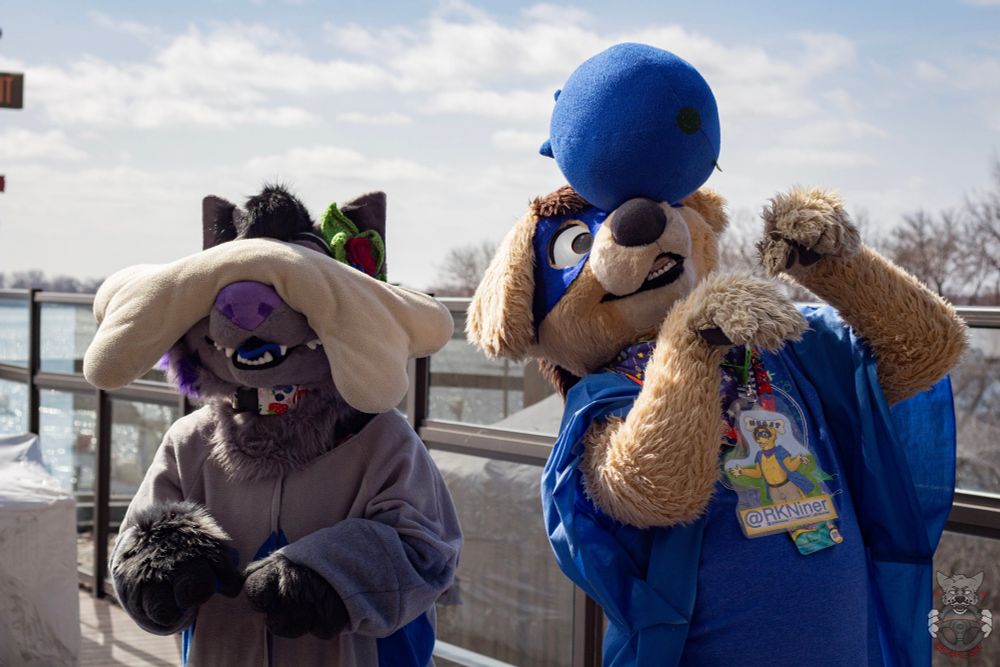 Two fursuiters balance props on their snoots.  Dakoda, a grey fox-otter hybrid, is balancing a large plush bone, while RK, a yellow flop-eared superhero dog, is doing the same with a large blueberry as though it were a ball.