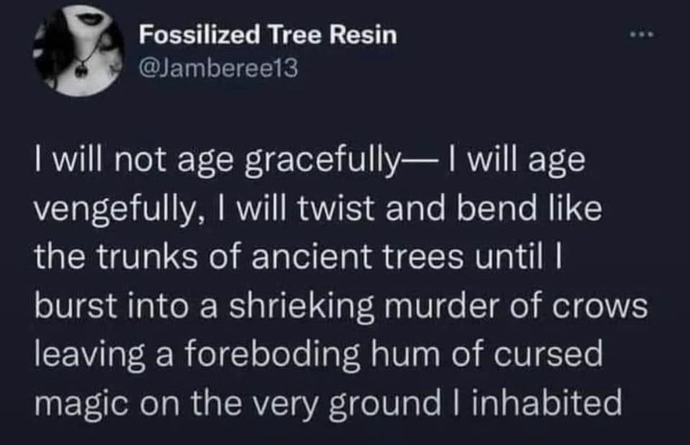 Post by @Jamberee13 (Fossilized Tree Resin) that says “I will not age gracefully— I will age vengefullly, I will twist and bend like the trunks of ancient trees until I burst into a shrieking murder of crows leaving a foreboding hum of cursed magic on the very ground I inhabited.