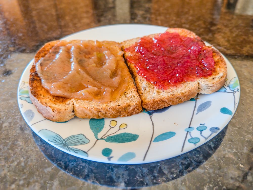 Two slices of whole wheat toast sit on a white plate with a floral pattern. One slice has apple butter on it. The other has vivid ruby-colored plum jelly. 