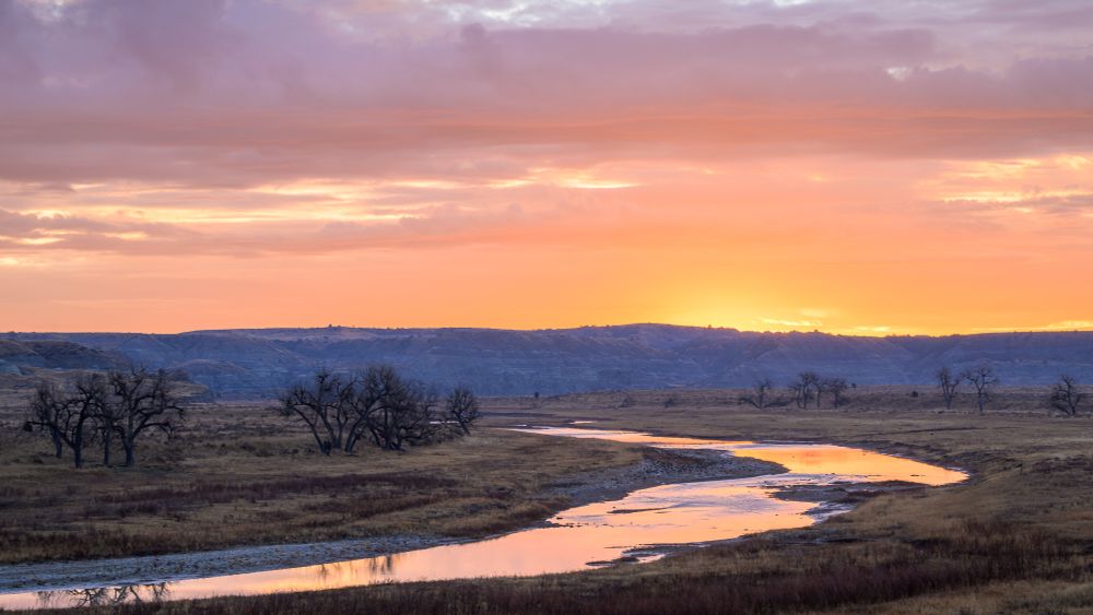 In the foreground, the Little Missouri River enters the scene from the lower left, reaching towards the right side of the image, before turning left again. The river bottom is covered in golden dried grasses and the river channel is dotted with large cottonwood trees that are bare of leaves. In the distance, at the back of the river valley, large, rugged hills of gray clay and red scoria rise from the valley floor. A cloudy sky is lit with soft tones of pink, orange, and yellow as the sunrise shines through a gap in the clouds, just behind the ridge of the distant rim.