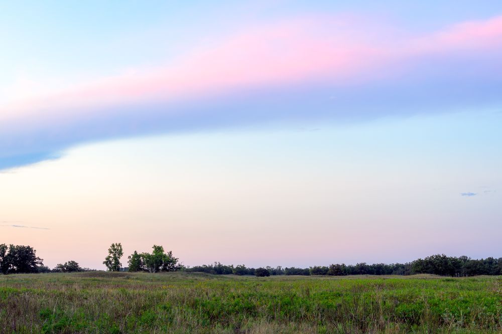 A minimalist grasslands scene. A mix of dried prairie grasses and green plants extend to the horizon on a gently rolling plain. Oak and aspen trees stand at the distant horizon. Above, the sky is pale blue, with faint clouds reflecting pink light shortly after the sun has set. One larger cloud extends across the frame, near the top of the photo. The top of the cloud is lit in pale pink, while the underside of the cloud is darker and purple.